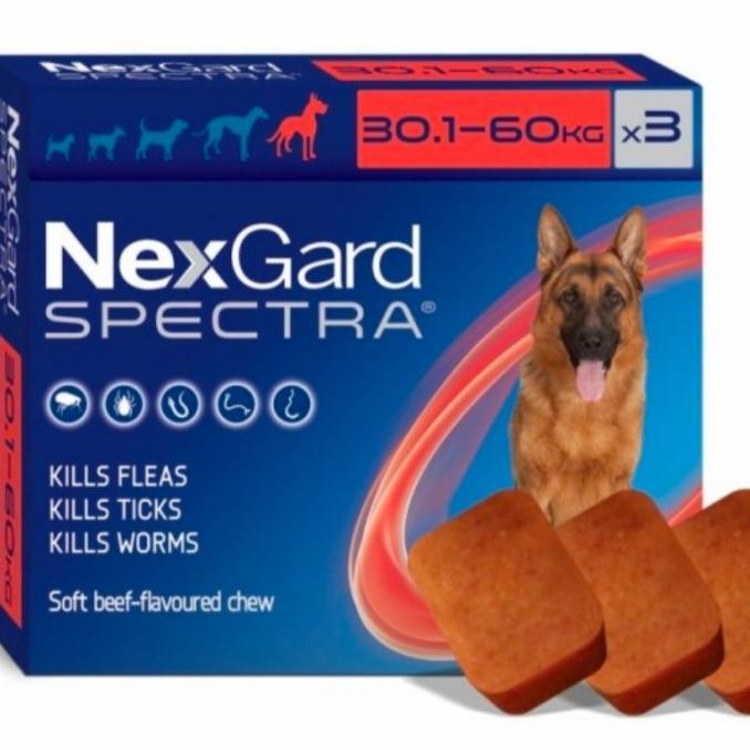 Nexgard SPECTRA size XL - Obat Kutu Anjing plus Obat cacing