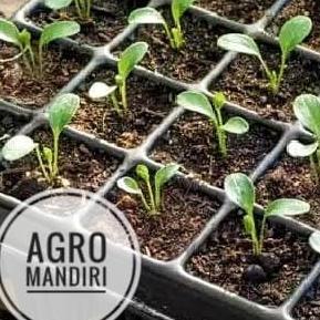 Bisa Cod Pot Tray / Tray Semai / Seed Tray / Pottray 200 Lubang Bibit Merk Bell ...