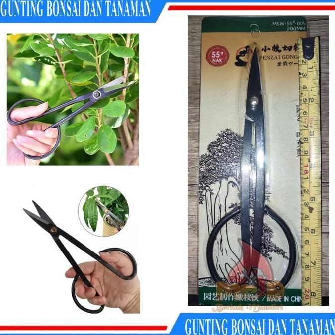 Gunting Daun Ranting Bonsai Tanaman, Gunting Pruning China