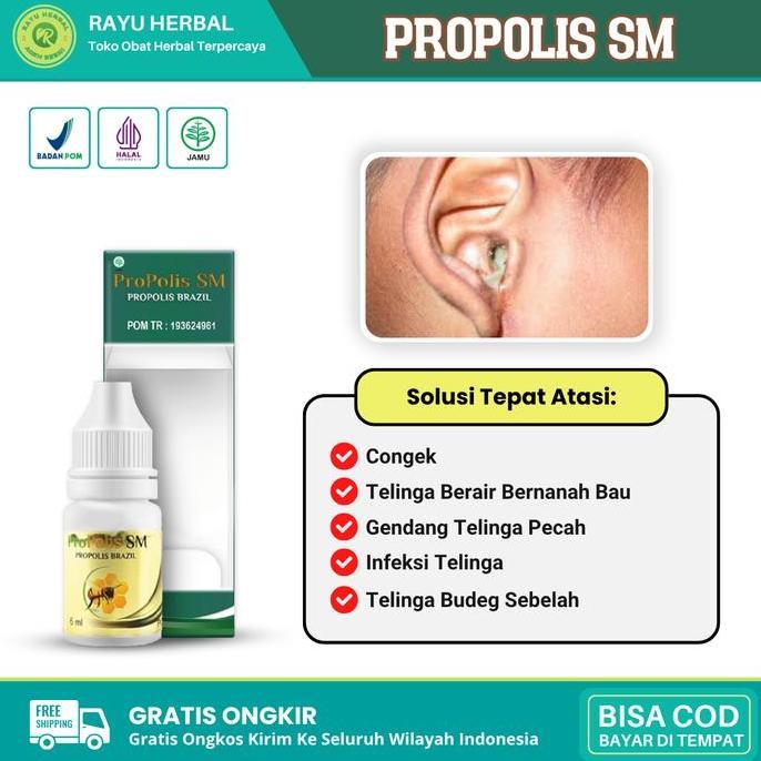 Propolis SM - Obat Tetes Telinga Congek Bernanah Berair Bau Anak dan Dewasa Ear Kotoran