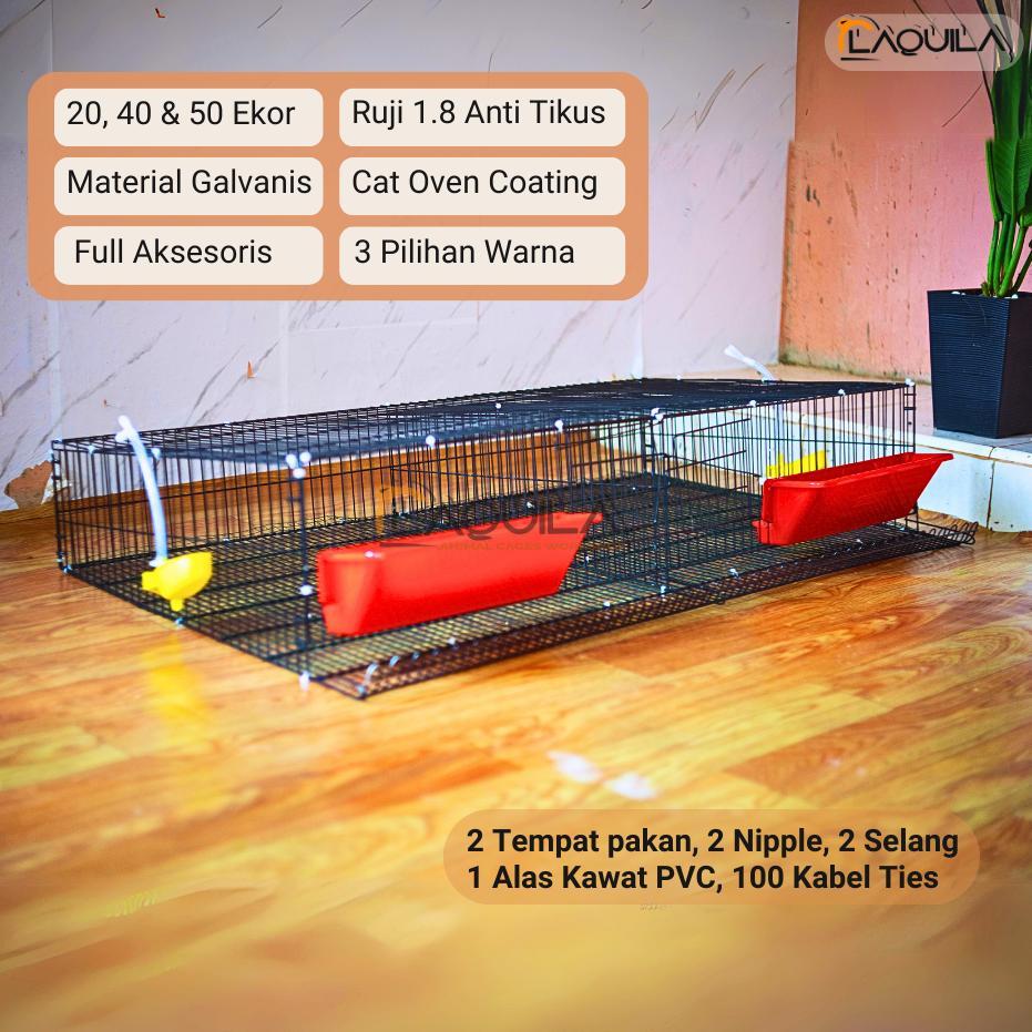 Kandang Puyuh Galvanis 20 40 50 Ekor Full Aksesoris Ready Stock