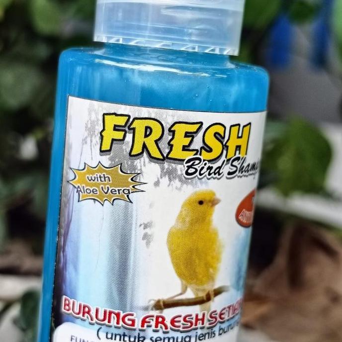 Tqs Sampo Shampo Burung Anti Kutu Untuk Kenari Blacktrothroat Lovebird Dan Semua Burung Kutuan