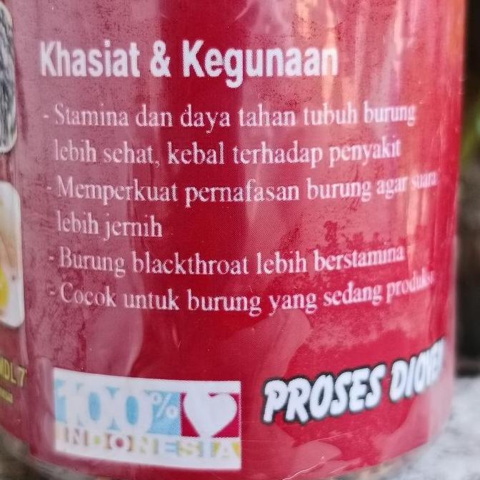 Tqs Pakan Burung Mdl 77 Blackthroat Pakan Harian Untuk Burung Blackthroat Sanger