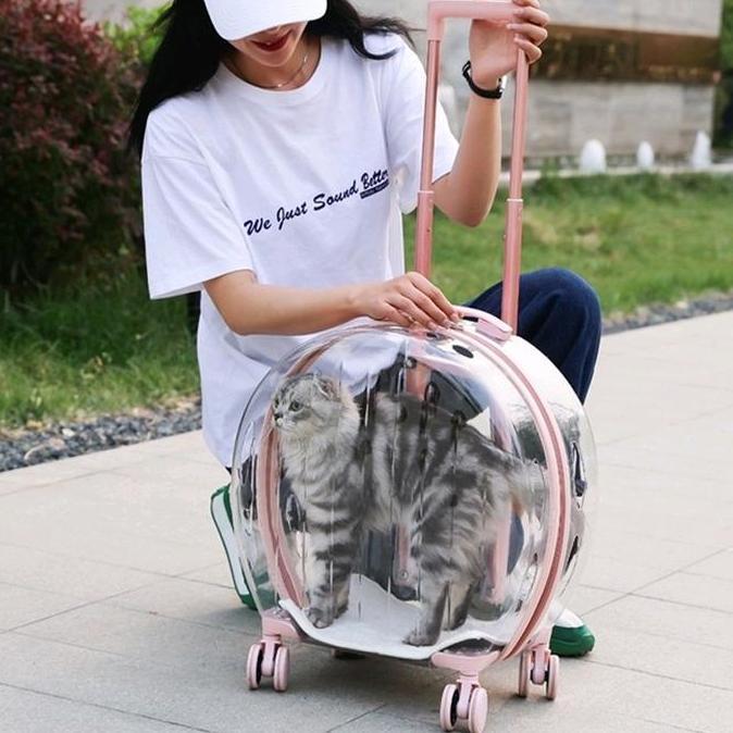 TERBARU Tas Troli Transparan | Pet Cargo | Tas Anjing Kucing BISA GRAB