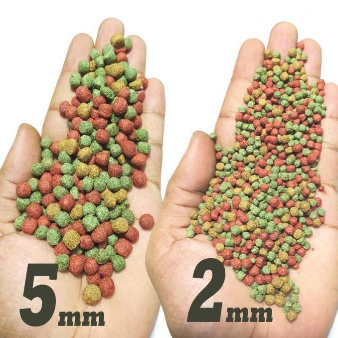 Turtle pelet food makanan pakan kura brazil res aligator cst ast 1 kg