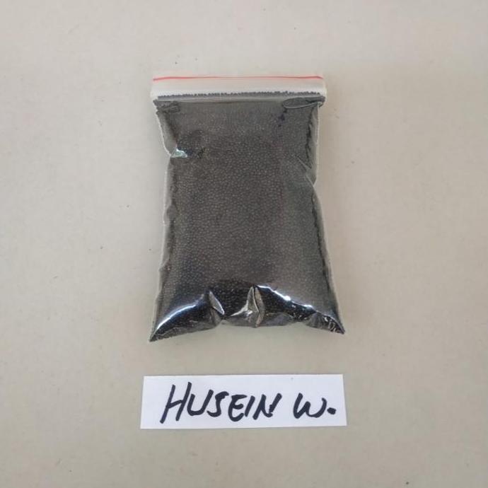 Thebest- bibit benih bayam petik bayam peyek bayam kakap jumbo