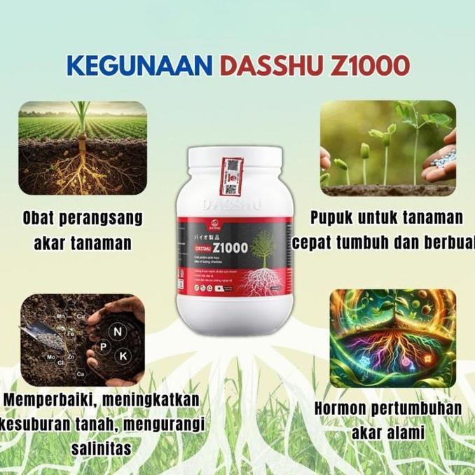DASSHU Z1000 1KG Pupuk Perangsang Akar Super dari Jepang | Akar Kuat, Tanaman Cepat Tumbuh, Panen Le