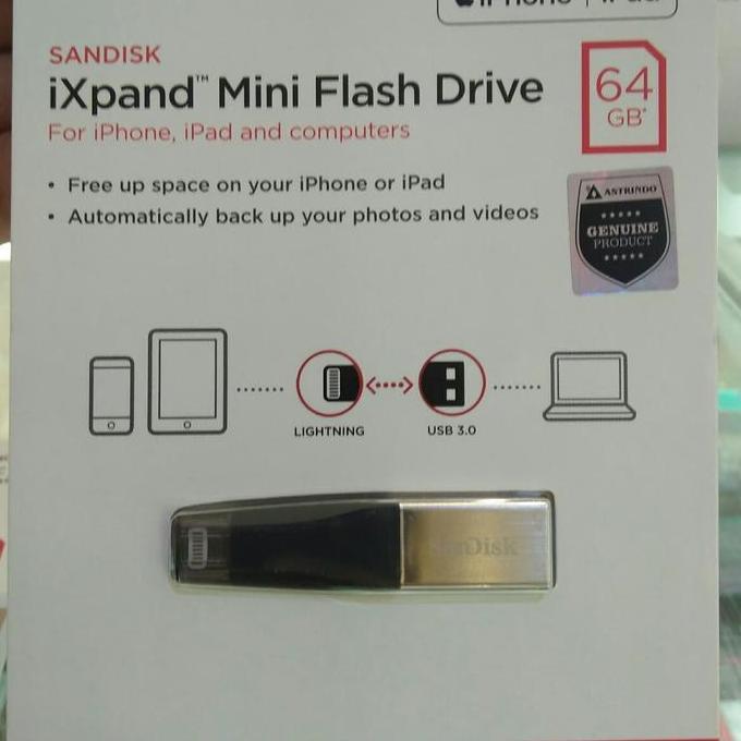 SanDisk flash Disk