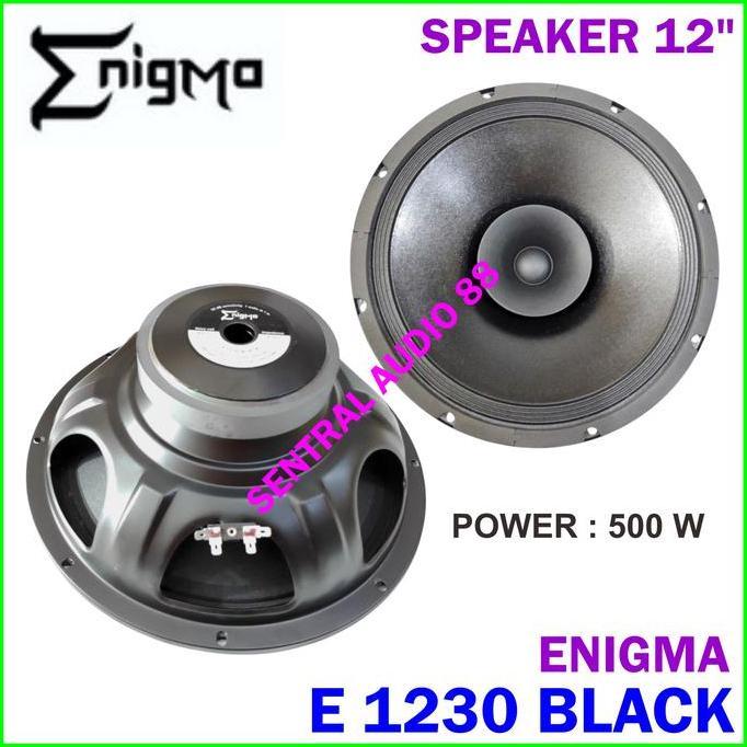 DV103 - Enigma E 1230 Black Full Range Speaker 12 inch E1230 model ACR 1230 12" 12in Original