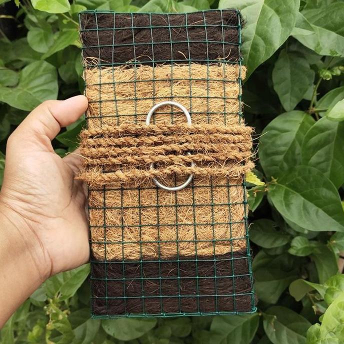 papan tempel anggrek set papan komplit untuk anggrek