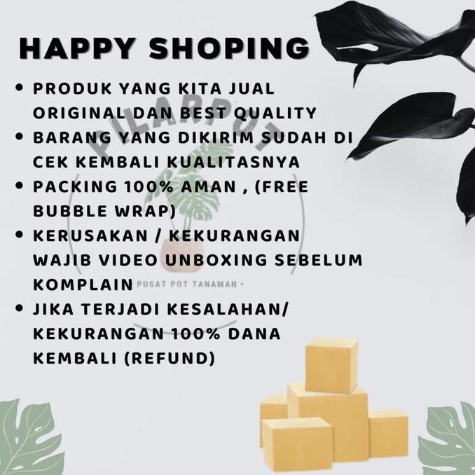 Gardenwill Benih Bibit Timun Lalap Vitani F1 Cap Panah Merah - Timun Vitani F1