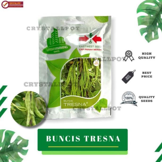 Gardenwill Benih Bibit Buncis Tresna Cap Panah Merah - Buncis Tresna East West Seed