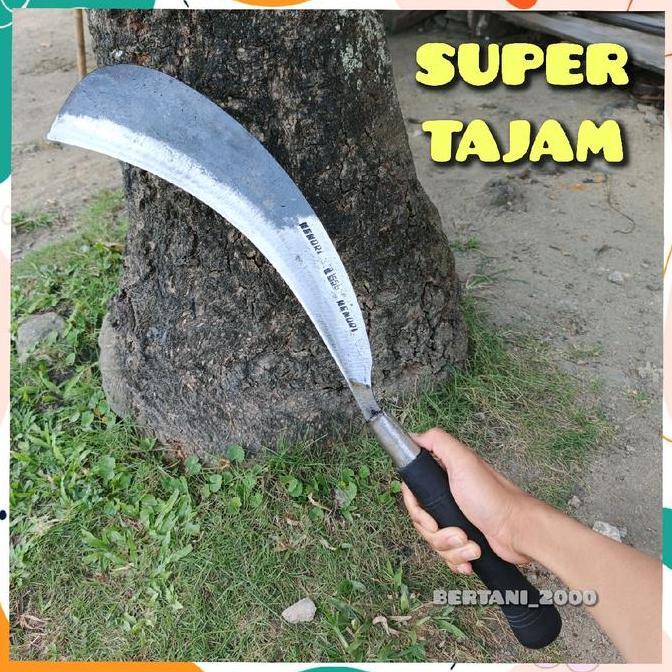 PISAU TEBANG TEBU ALAT PANEN TEBU SUPER TAJAM ARIT TEBU