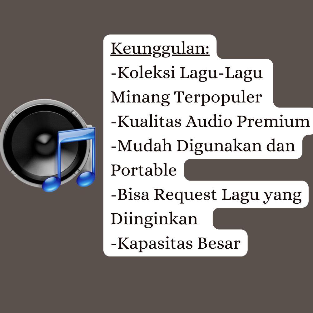 Flashdisk isian Lagu Lagu Minang Terpopuler