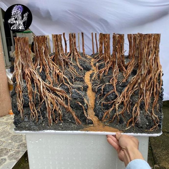 HARDSCAPE AQUARIUM AQUASCAPE HIASAN AQUARIUM AQUASCAPE ELEGAN AQUARIUM AQUASCAPE JUNGLE KING HARDSCA