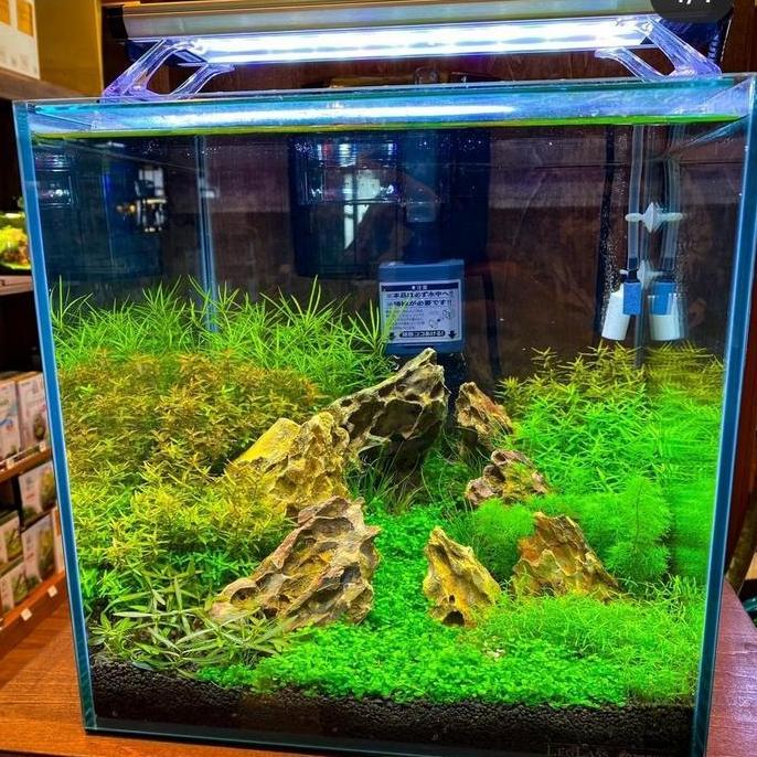 aquascape fullset nano tank 30 cm