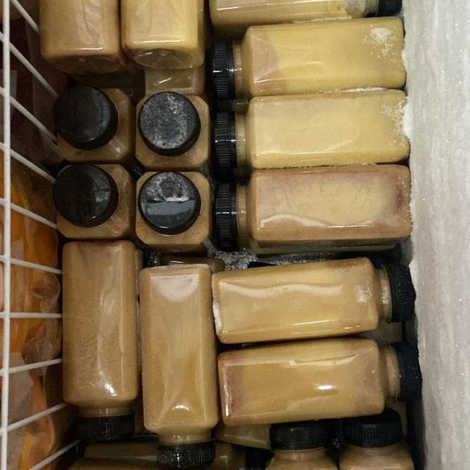 Milkking- Fresh Kurmilk (Susu Kurma)1Botol