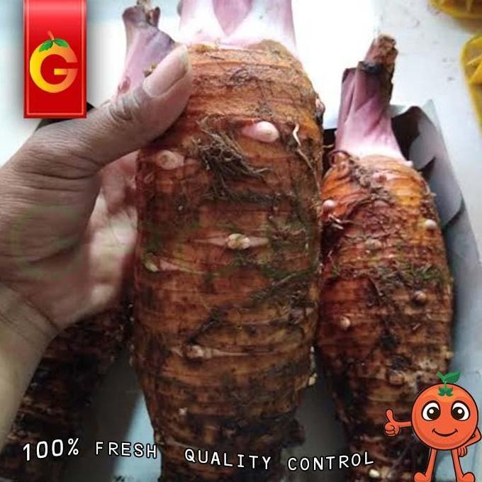 Lapakkita- Talas Ungu Pontianak 1 Kg