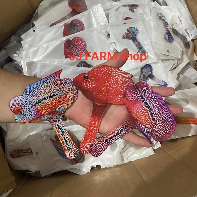 Catbull- Wayang Ikan Louhan Full Aclyric Stick Full Kuat Ukuran Besar