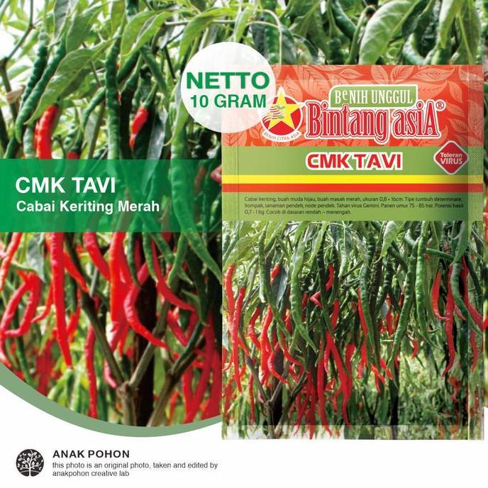 PROMO (1 PACK) Benih Cabe Merah Keriting CMK TAVI F1 Seeds - Bintang Asia