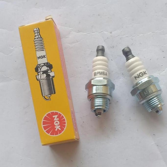 *$*$*$*$] Busi potong rumput NGK BPM6A