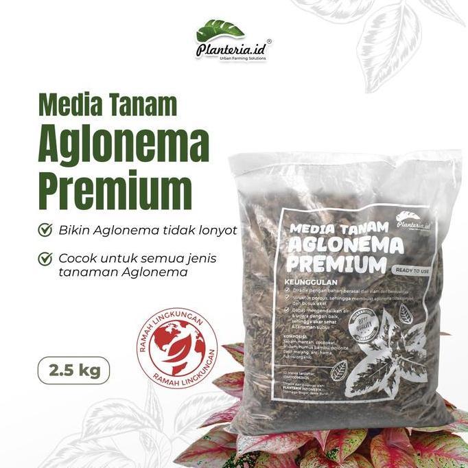Indah- Media Tanam Aglonema Fermentasi Media Tanam Premium 2,5Kg By Planteria.Id Tanah Tanaman