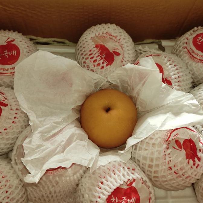 Frutexz- Buah Pear Singo Pir Xin Gao China Korea Qiuye Qiu Ye