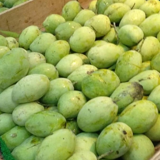 Frutexz- Buah Mangga Indramayu Tua Pohon Rujak Asem Manis Ngidam Mentah Muda