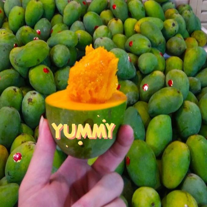 Frutexz- Mangga Harum Manis Tua Pohon ( Bukan Matang Pohon ) Pemalang Jatim