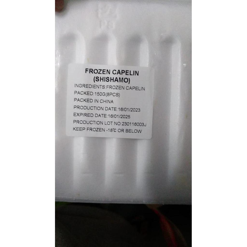 Bigwood- Shisamo Fish Ikan Shisamo Capelin Frozen