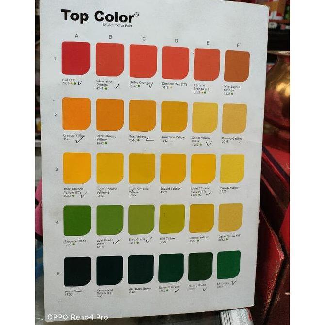 Top Color Danapaint 1 Kg