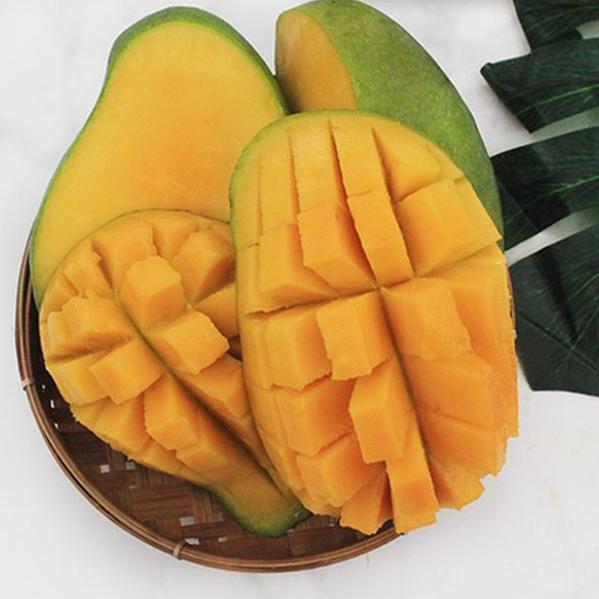 MANGGA HARUM MANIS JAWA KUALITAS PREMIUM