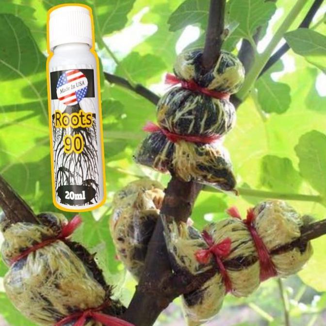 Gardendrm- Root 90 Usa 20Ml Hormon Akar Dan Tumbuh Tanaman