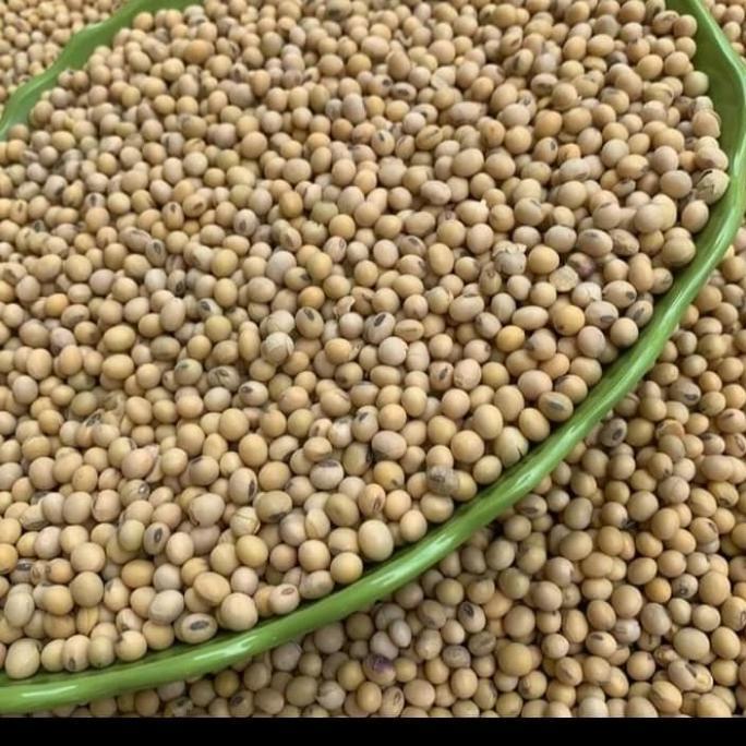 KACANG KEDELAI [1kg]