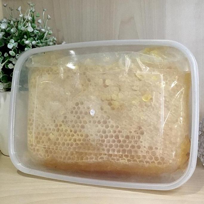Madu Sarang Asli Kemasan 250gr dan 500gr Sarang Madu Murni Asli Honeycomb Premium
