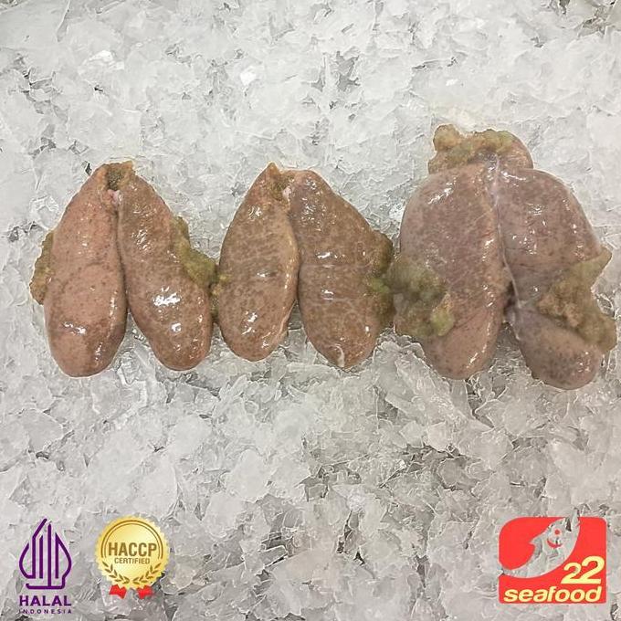 Telur Ikan Lele 500 gram / Umpan Pancing Galatama / Seafood 22 (TERBAIK) (TERBARU) (TERMURAH)