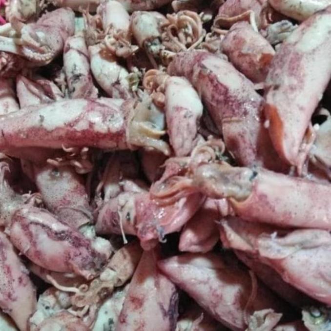 Baby Cumi Asin Kering Asli Tuban Food Goreng Pedas