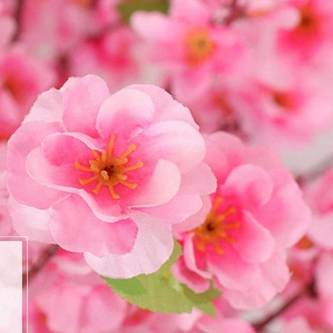 Bunga Simulasi Sakura Buatan Plastik 65cm - Merah, Putih, Pink, Kuning, Ungu bunga  sakura bunga  pl