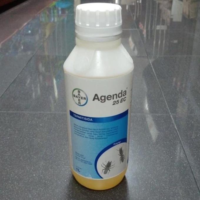 AGENDA 25 EC OBAT RAYAP TERBAIK UNTUK BASMI RAYAP