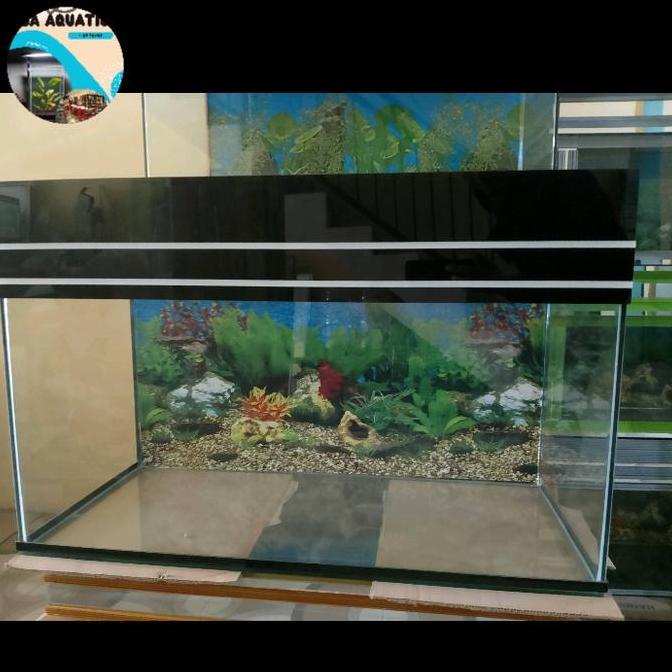 Aquarium kaca minimalis 70cm 80cm 100cm
