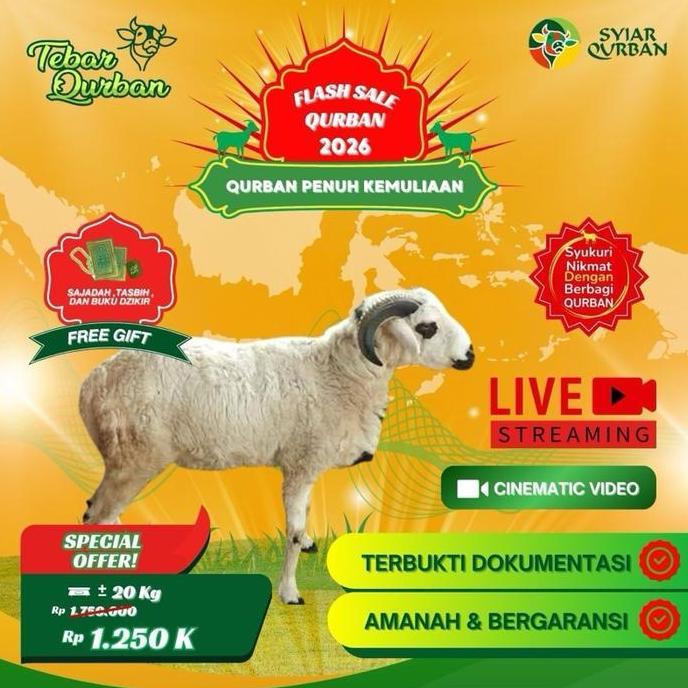 Terlaris Domba Kambing Qurban -+20Kg - Sale  Full Penyaluran Hewan Qurban