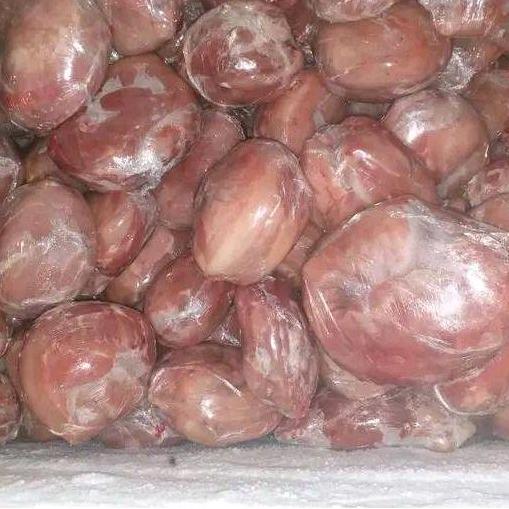 Terlaris Daging Kelinci New Zealand Pure Kelinci Nz Tekstur Alami Lembut