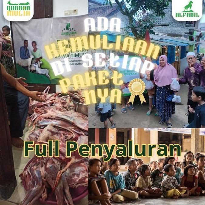 Terlaris Hewan Qurban Domba-Kambing Kurban Bobot +- 18 Kg
