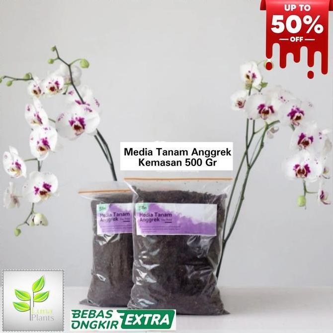 media tanam anggrek - media anggrek
