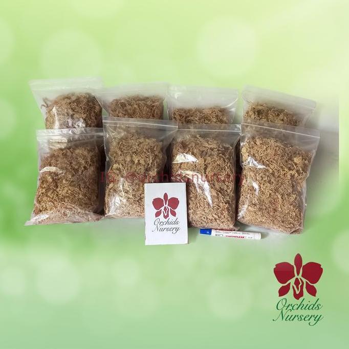 Moss Import Premium Quality / Sphagnum Moss Import / Lumut Kering Media Tanam - 100 GR