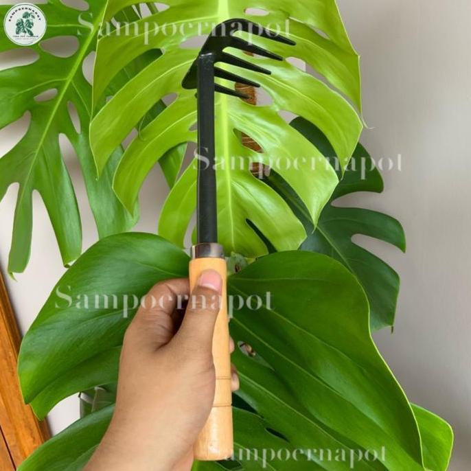Gardensw- Garpu Besi Gagang Kayu Untuk Garukan Tanah Berkebun - Garpu Tanah