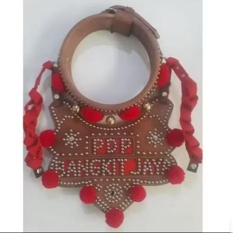 [SF] GONGSENG/KALUNG DOMBA NAMA,FULL kulit