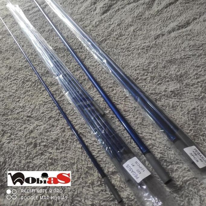 Ruas 1 dan 2 joran pancing surf orca pegasus 420 dan pegasus extra 420