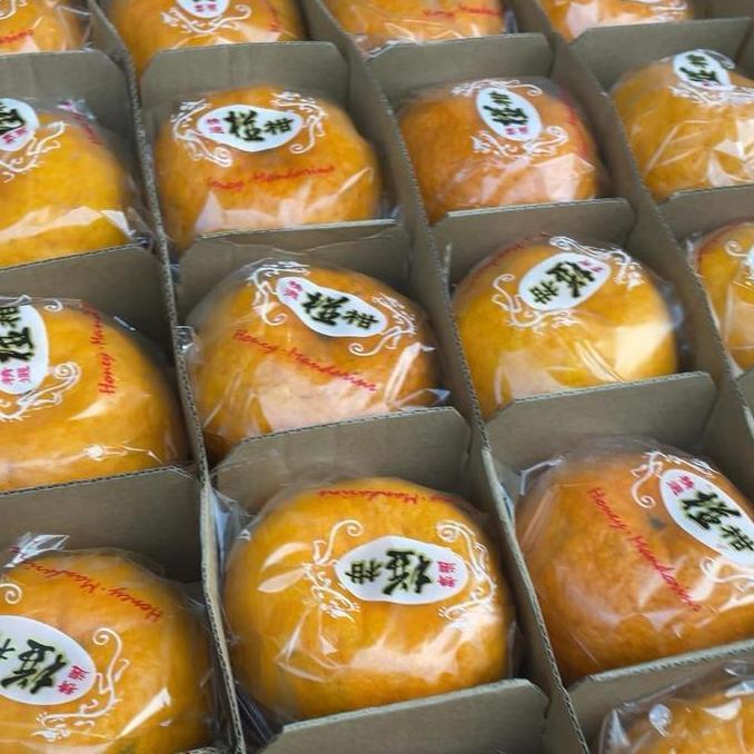 JERUK MANDARIN PONKAM HDL SUPER PREMIUM QUALITY LJ