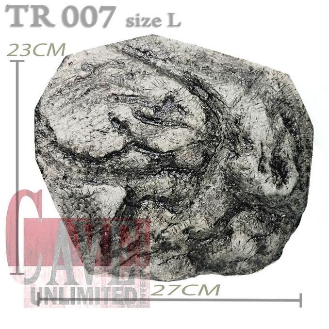 Lansungaja- Basking Tempat Berjemur Kura-Kura Darat Sulcata Kura Kura Air Brazil Tangkringan Kadal L